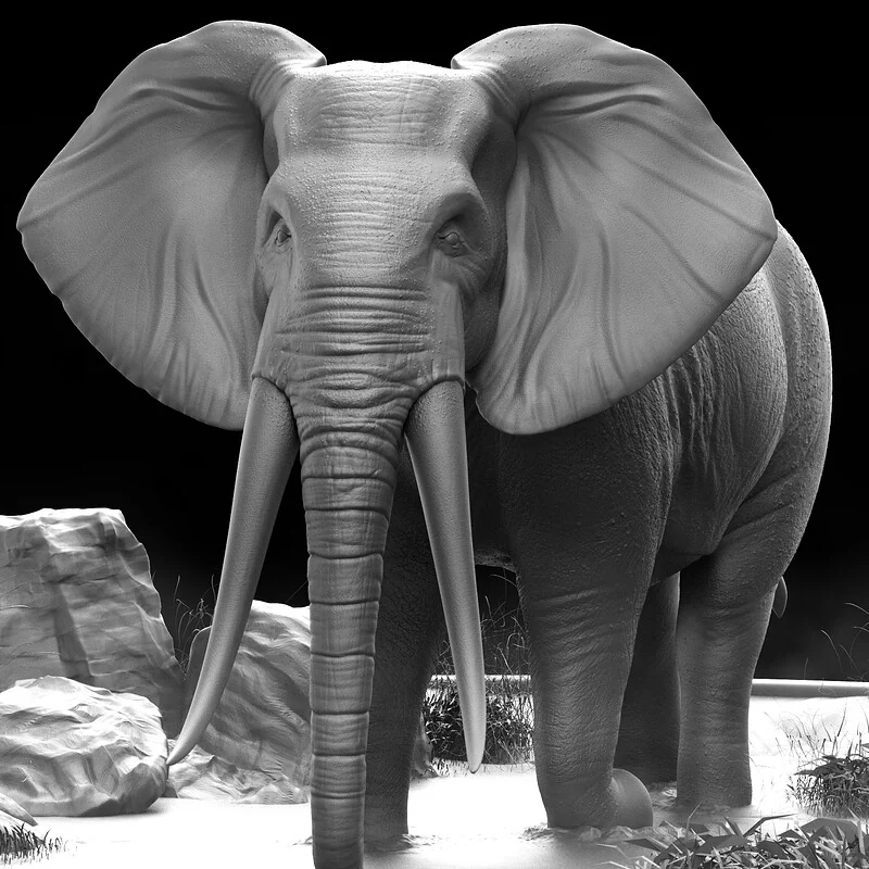 Elephant