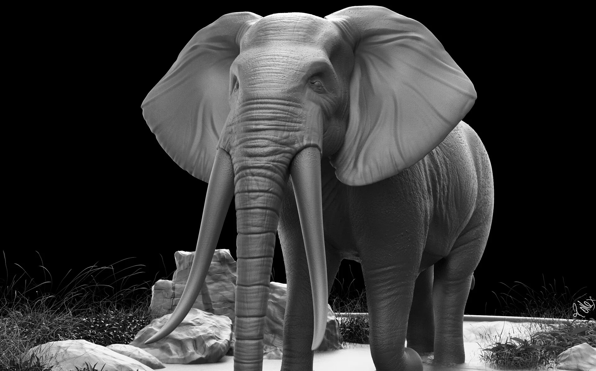 Closer front view of the elephant, showing the wrinkled skin across the trunk and ears.
