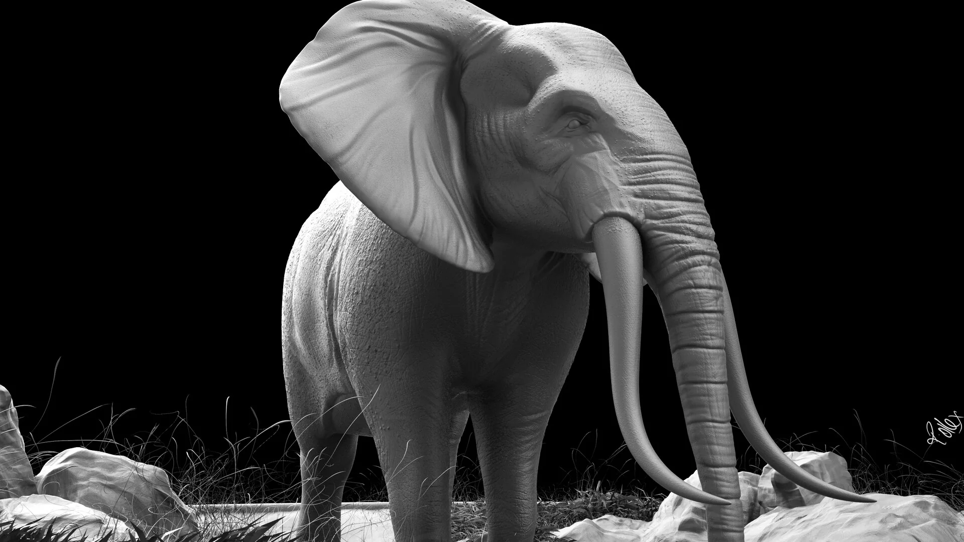 Close front three-quarter view of the head, ears spread and tusks curving forward.