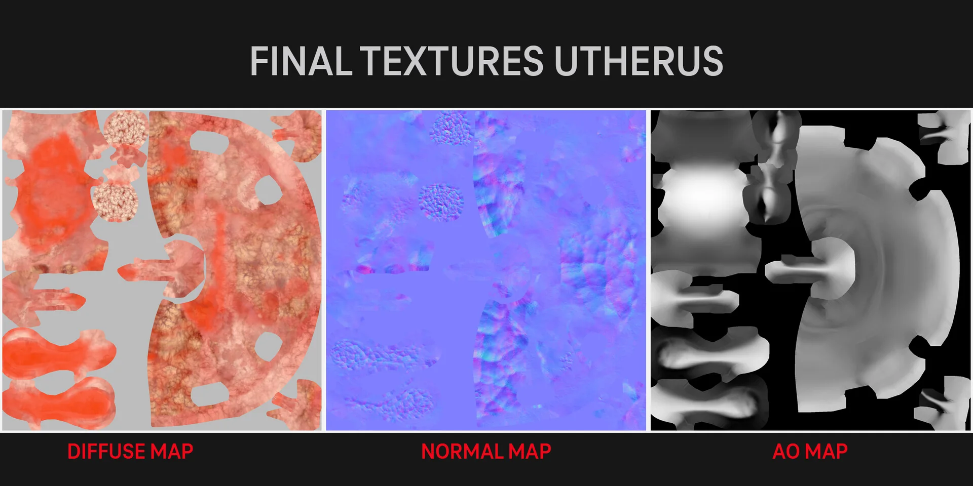 Final uterus texture set: diffuse, normal and ambient occlusion maps.
