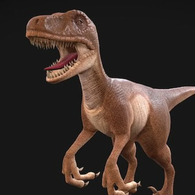 Raptor