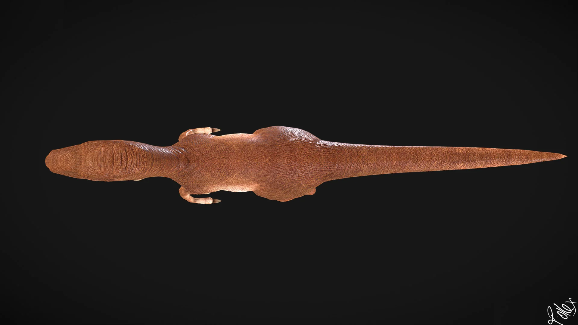 Top-down view of the raptor, showing how the body and tail read in plan.